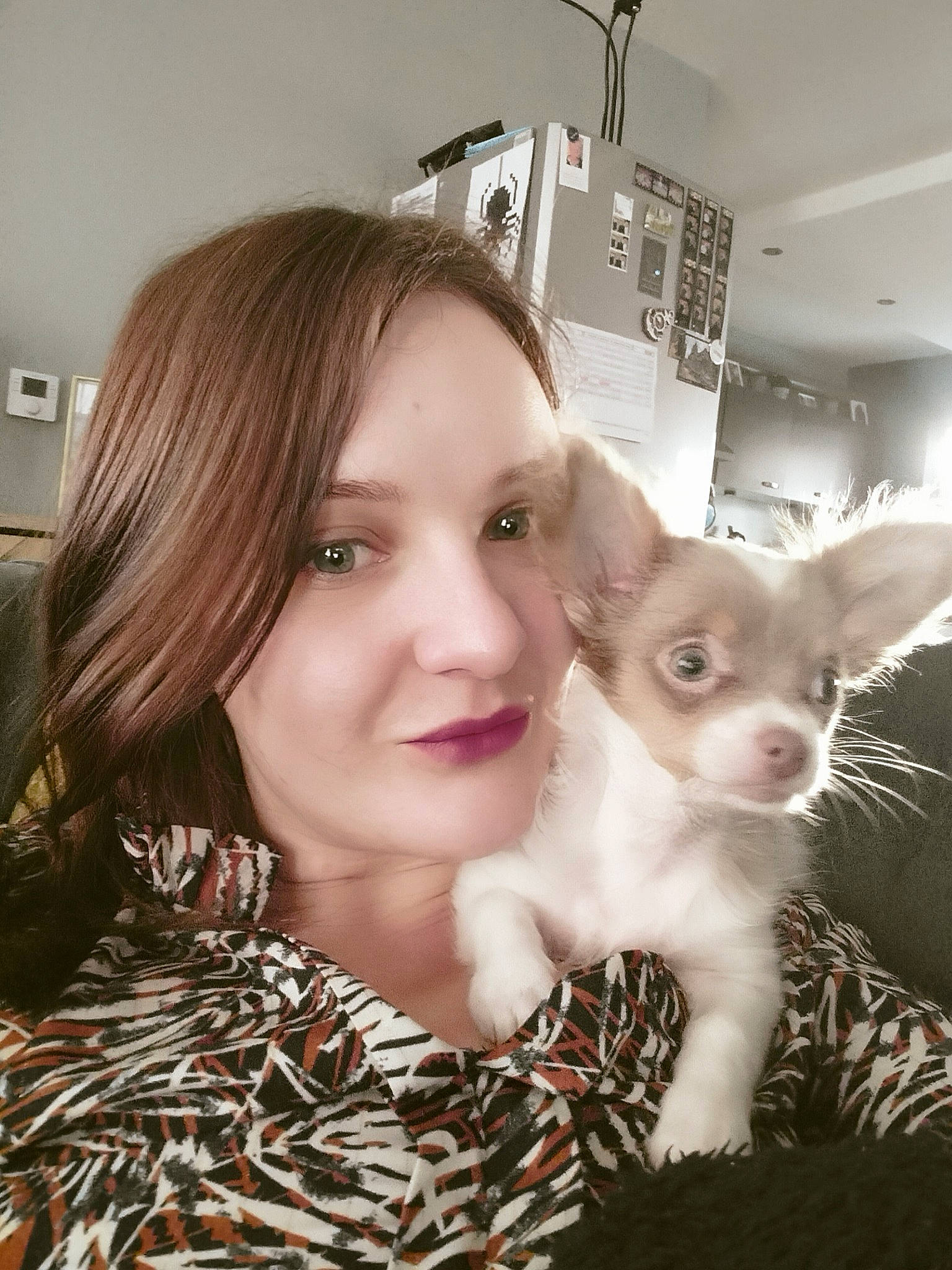 Denver a rejoint le concours — aidez-le/la à gagner de superbes lots ! bangs, brown_hair, carnivore, cat, child, companion_dog, domestic_short_haired_cat, ear, eyebrow, eyelash, fawn, felidae, fur, happy, long_hair, pattern, selfie, small_to_medium_sized_cats, tail, whiskers