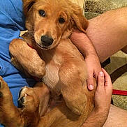 Bentley joined the competition — help win amazing prizes!