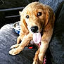 Bentley joined the competition — help win amazing prizes!