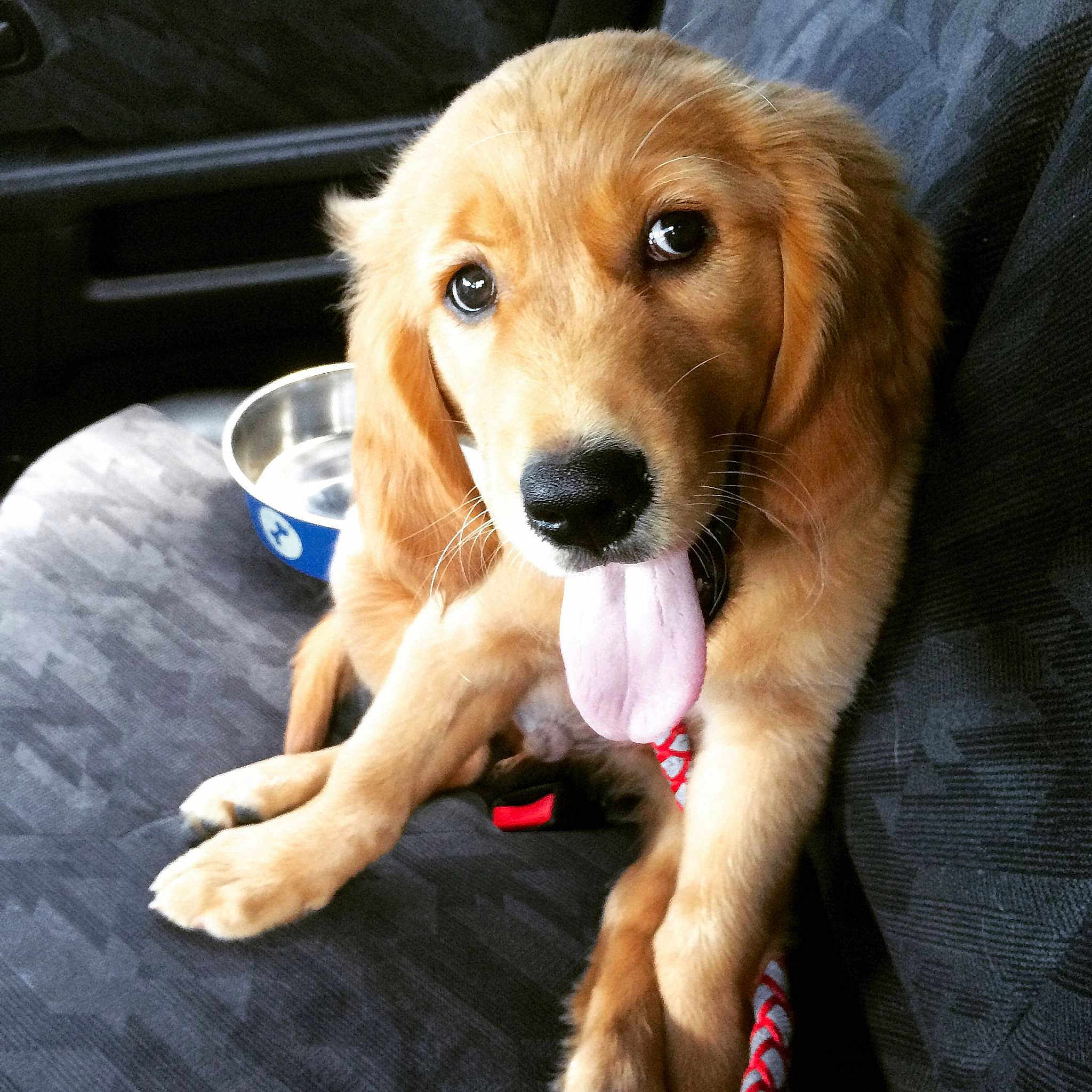 Bentley