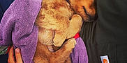Bentley joined the competition — help win amazing prizes!