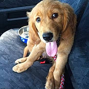Bentley joined the competition — help win amazing prizes!