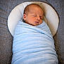 baby, newborn, infant, swaddle, blanket, sleeping, sleep, wrap, face, head, pillow, cushion, bedding, fabric, blue, grey, portrait, cute, resting, peaceful