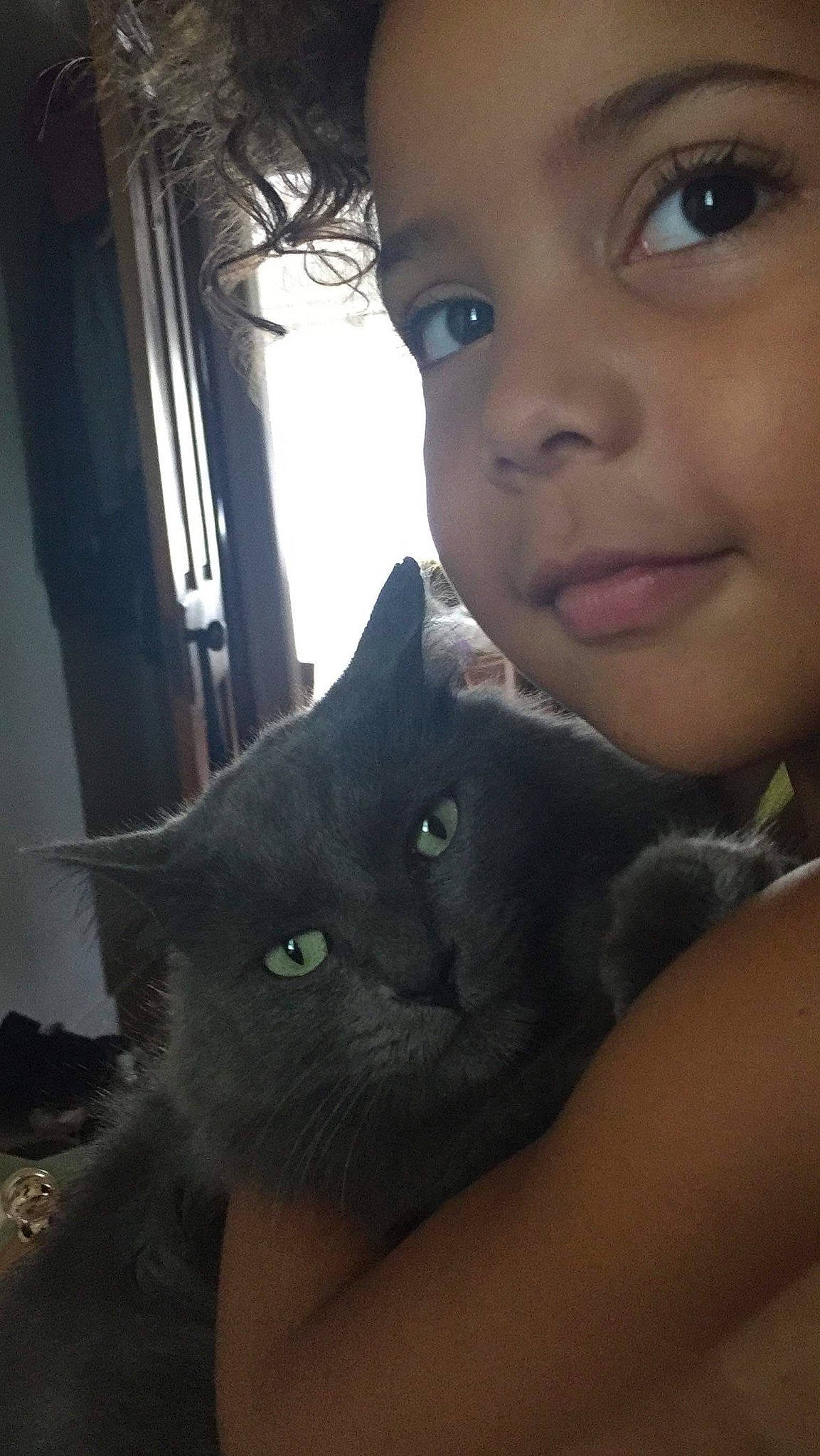 Rosco joined the competition — help win amazing prizes! black_cat, carnivore, cat, domestic_short_haired_cat, ear, eye, eyelash, felidae, fur, happy, head, iris, mammal, nose, organ, small_to_medium_sized_cats, snout, vertebrate, whiskers, window