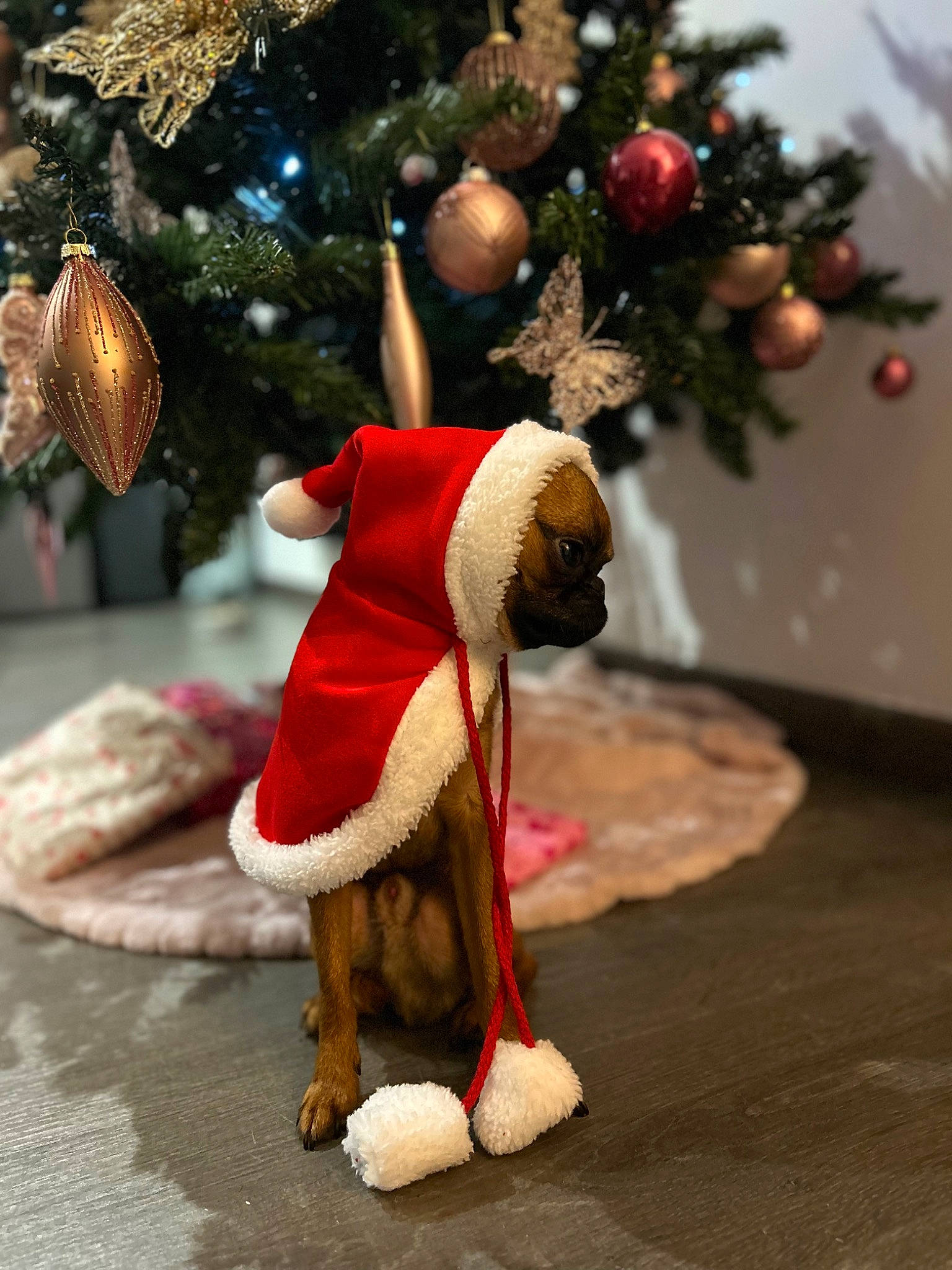 Smoothie a rejoint le concours — aidez-le/la à gagner de superbes lots ! branch, christmas, christmas_decoration, christmas_eve, christmas_ornament, christmas_tree, conifer, event, evergreen, fawn, holiday, holiday_ornament, natural_material, ornament, plant, santa_claus, toy, tree, twig, wood