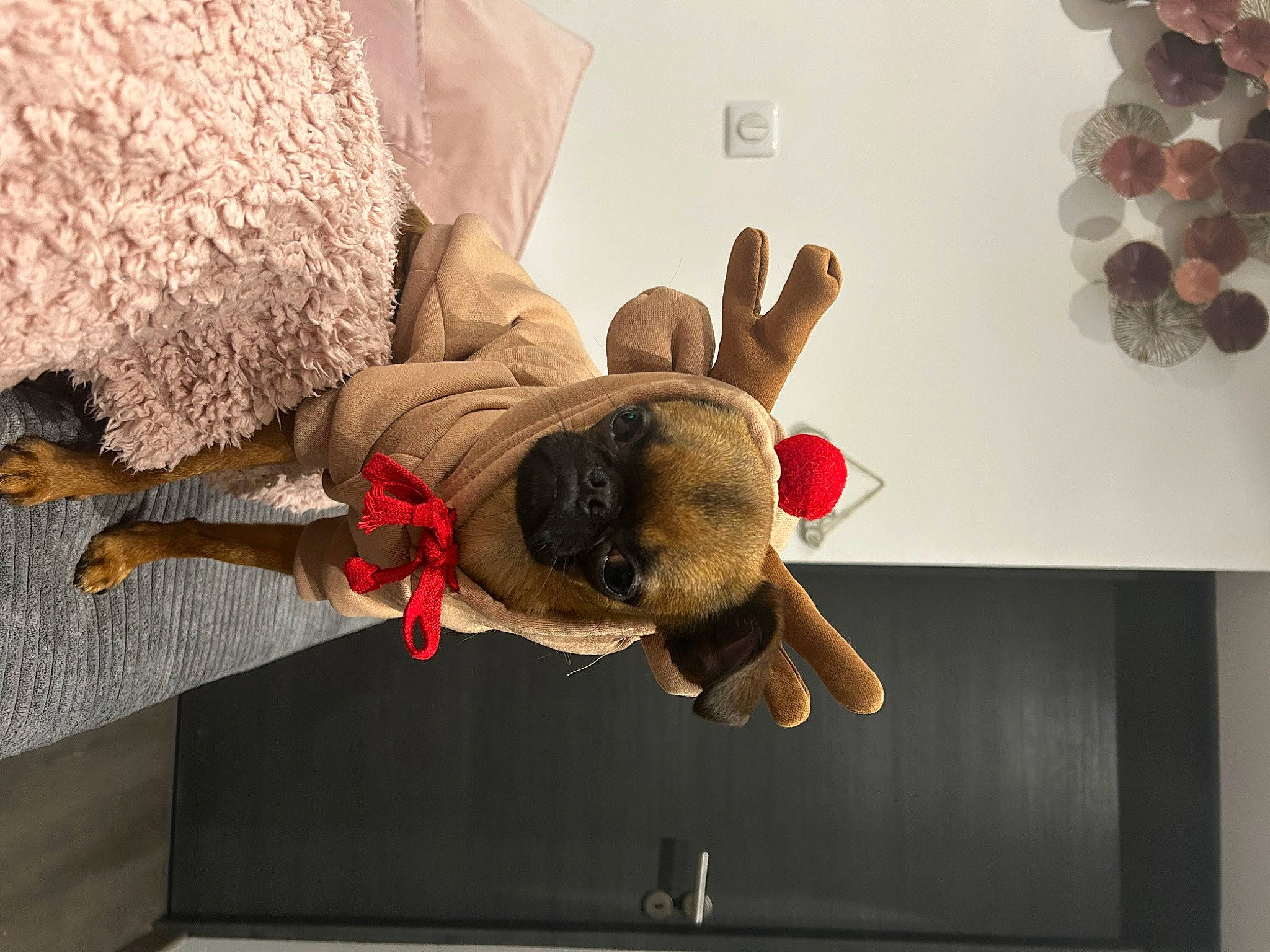 Smoothie a rejoint le concours — aidez-le/la à gagner de superbes lots ! animation, art, ceiling, fawn, fictional_character, flooring, fun, gesture, happy, room, stuffed_toy, toy, visual_arts, wood