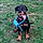 Louna
