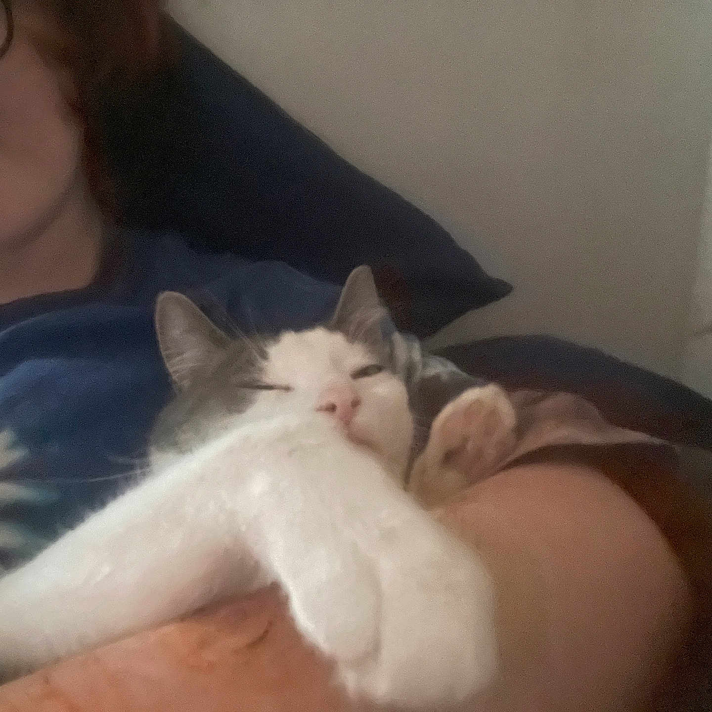 Milo