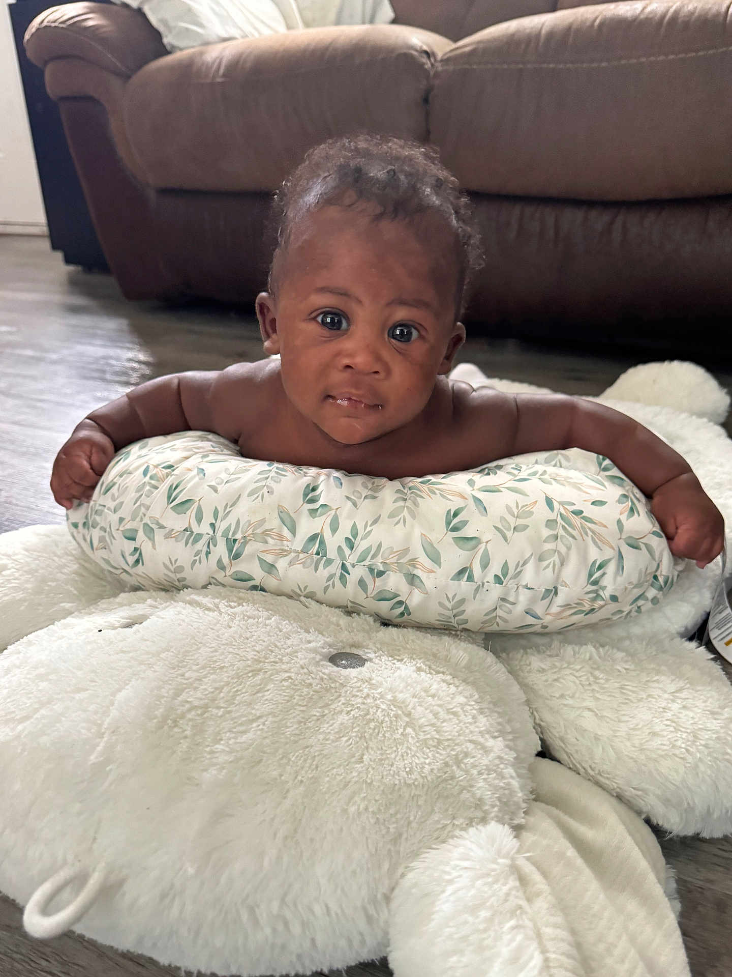 Jaylen is registered to the contest to win money with this photo: baby, infant, child, face, eyes, pillow, cushion, plush_toy, teddy_bear, floor, living_room, sofa, wood_floor, curly_hair, skin, expression, person, indoor, cute, young