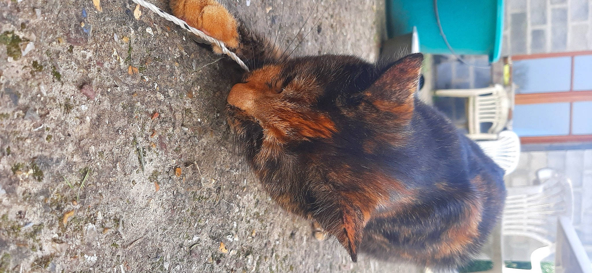 Onaya a rejoint le concours — aidez-le/la à gagner de superbes lots !