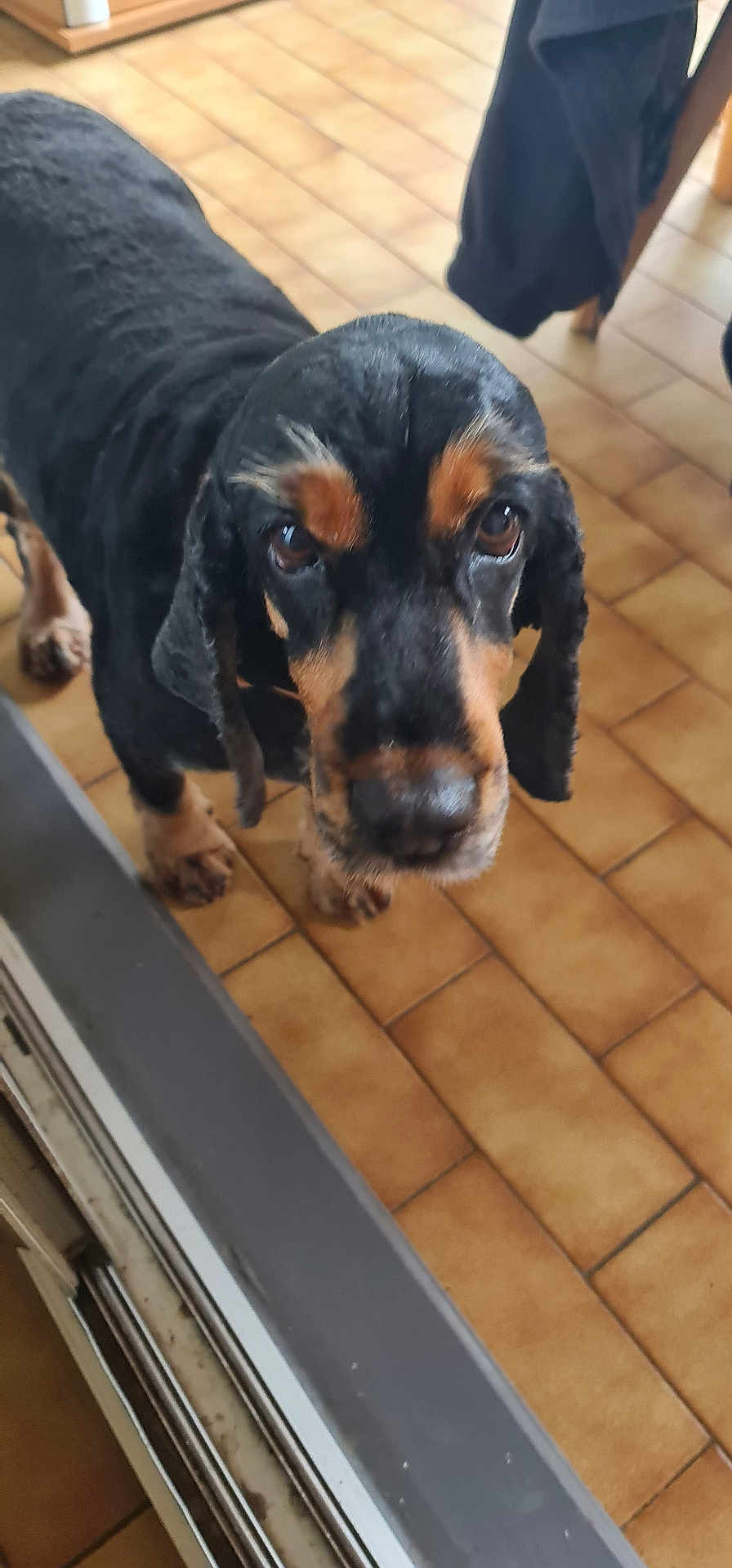 Linda