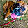Lilas