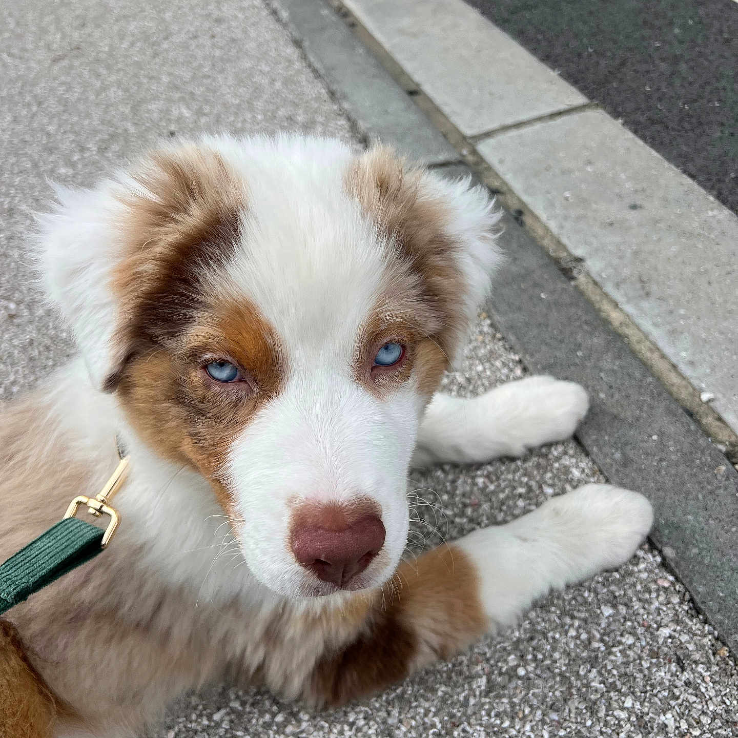 Aspen