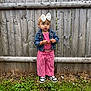 Emma joined the competition — help win amazing prizes! toddler, child, outdoor, grass, wooden_fence, denim_jacket, bow, headband, red_checkered, pants, sneakers, curious, standing, young_child, nature, casual_clothing, person, portrait, daylight, greenery