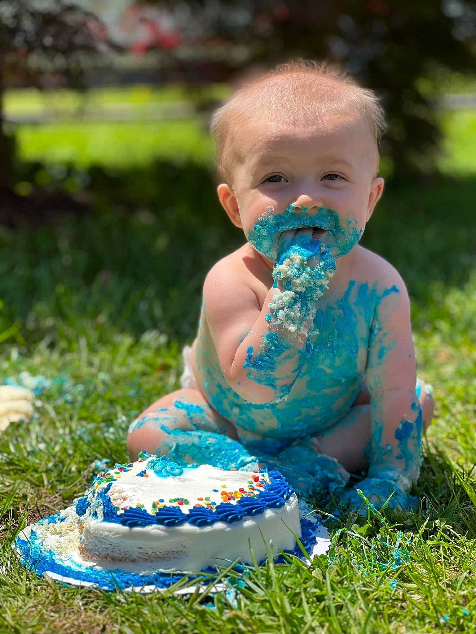 Brentlee is registered to the contest to win money with this photo: baby, baked_goods, birthday_cake, cake, cake_decorating, cake_decorating_supply, chair, child, electric_blue, event, food, fun, grass, happy, leisure, people_in_nature, person, plant, sitting, sugar_cake