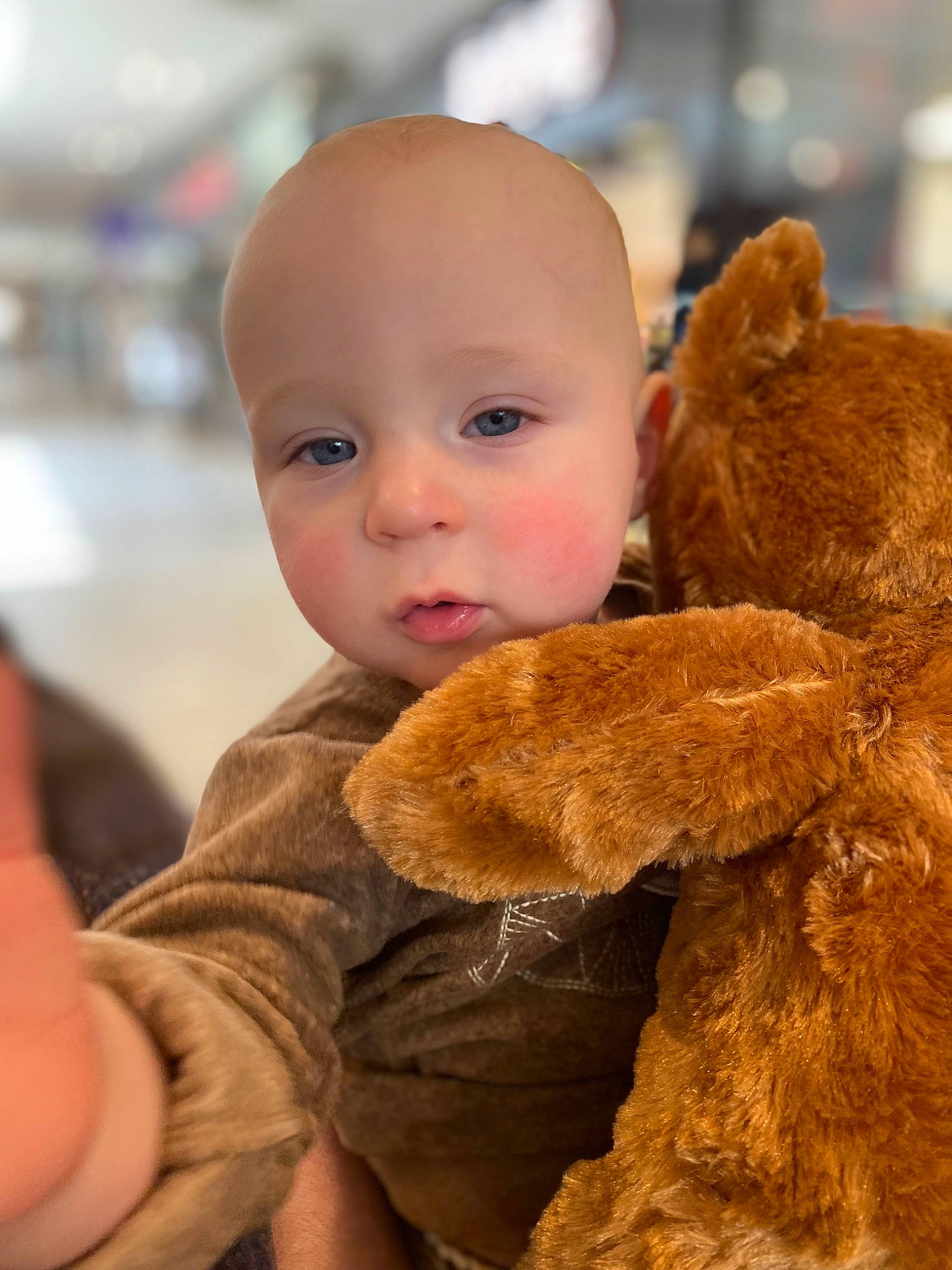 Keegan joined the competition — help win amazing prizes! baby, baby_toys, bear, brown_bear, cheek, child, fawn, fun, fur, gesture, happy, mammal, person, plush, skin, stuffed_toy, teddy_bear, toddler, toy, vertebrate
