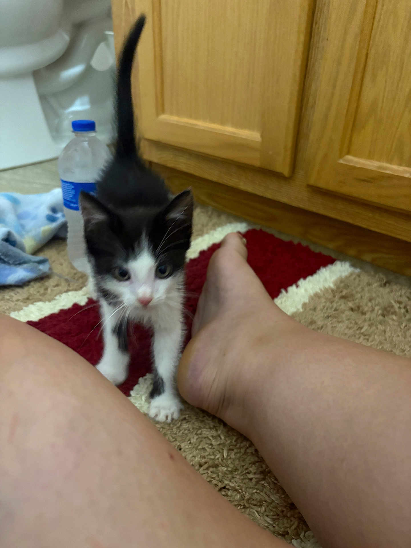 Milo