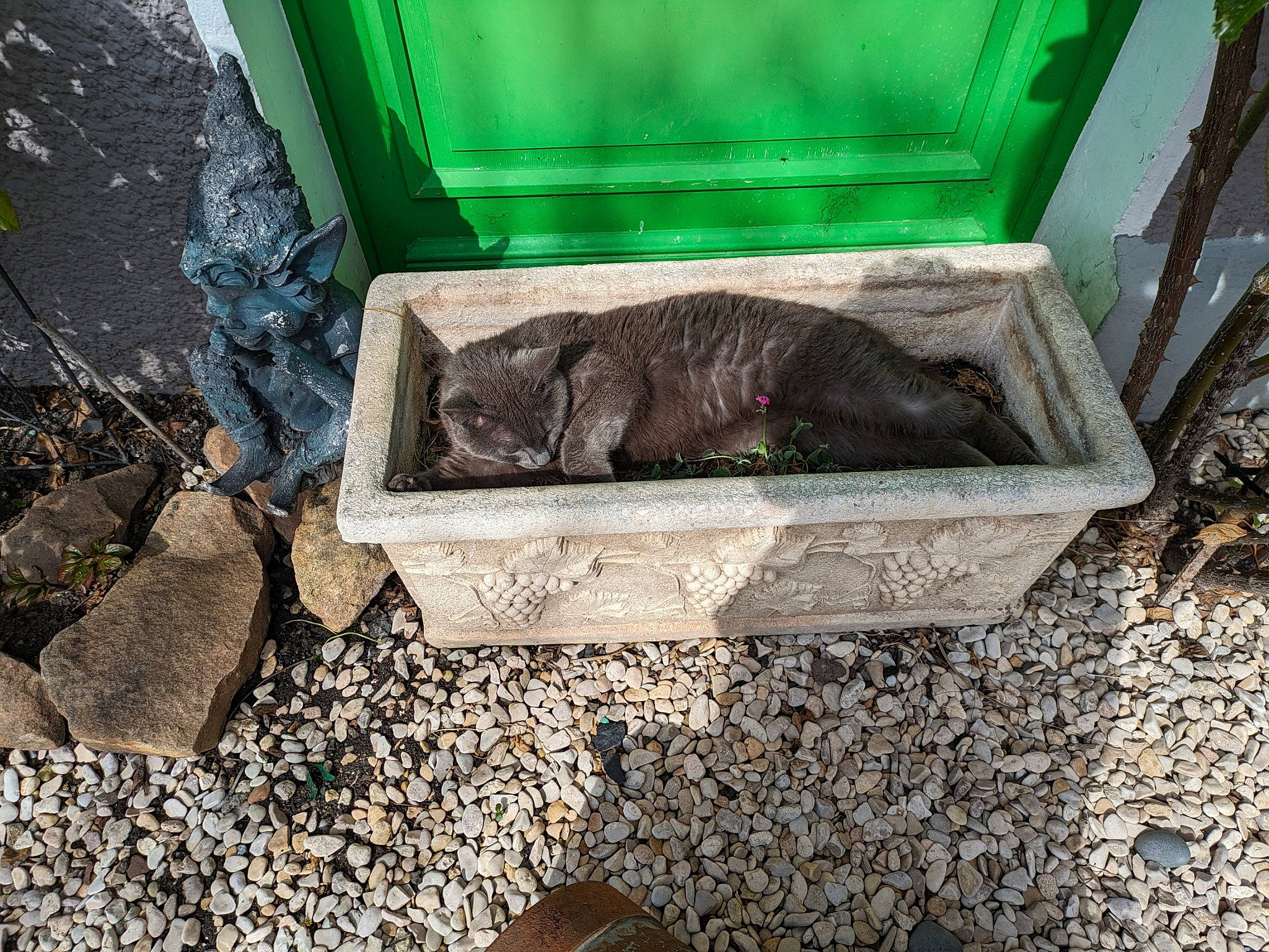 Gribouille participe au concours pour gagner de l'argent avec cette photo : compost, concrete, gas, grass, groundcover, herb, pebble, rock, rubble, soil, waste_container, wood