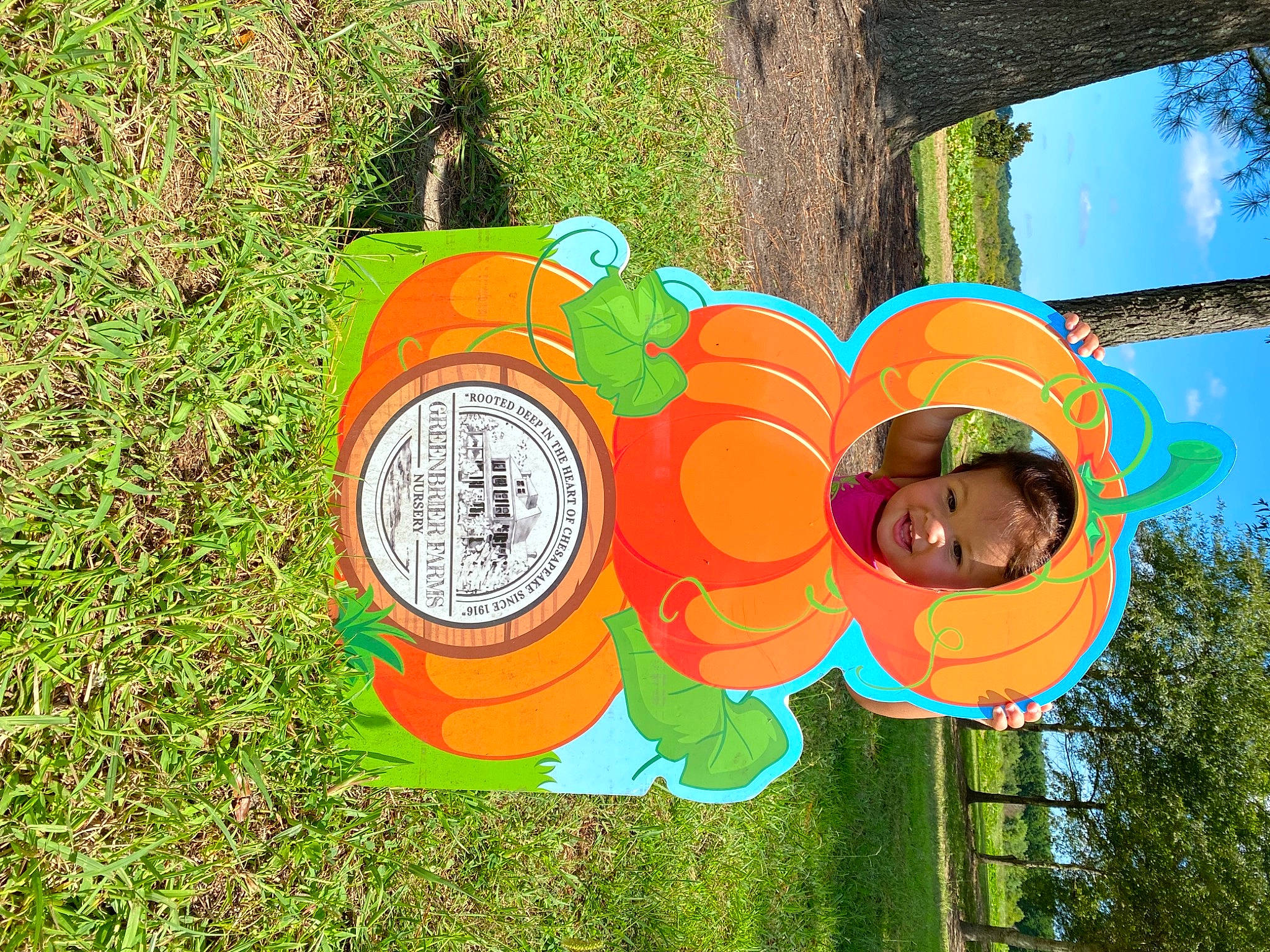 Avery joined the competition — help win amazing prizes! art, automotive_wheel_system, botany, circle, flower, font, fun, garden, grass, green, happy, hat, landscape, leaf, leisure, person, petal, plant, rose_family, sky