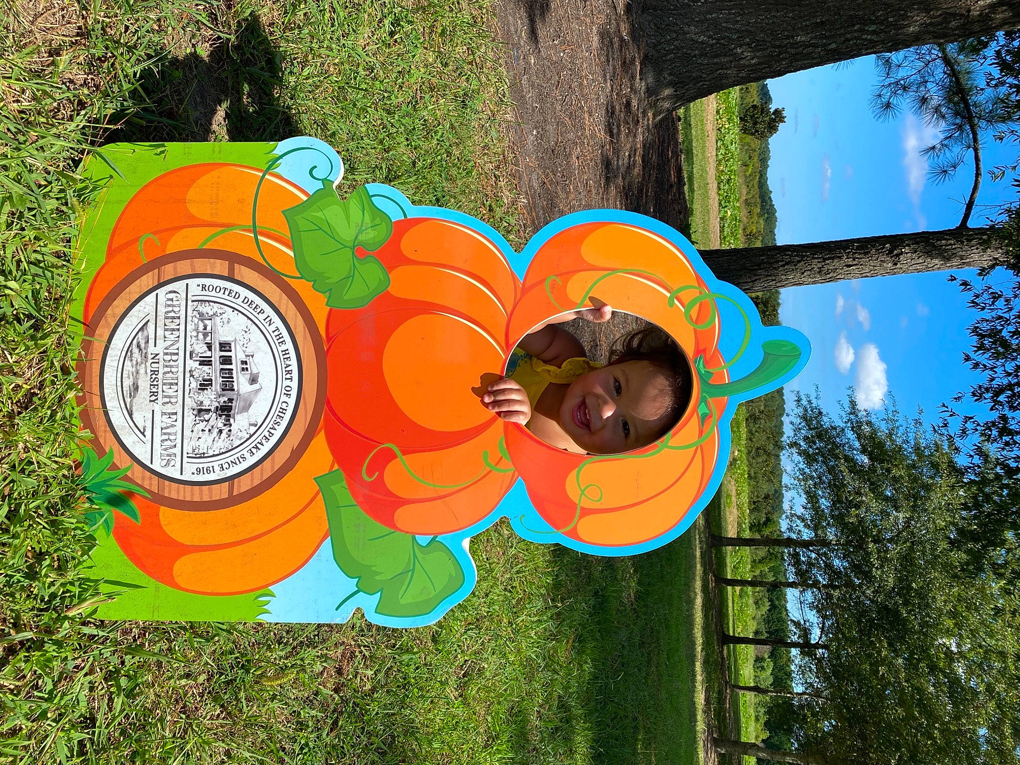 Emery joined the competition — help win amazing prizes! art, automotive_wheel_system, circle, cloud, flower, garden, grass, green, happy, insect, joy, lawn_ornament, leisure, pattern, person, petal, plant, pole, pollinator, sky