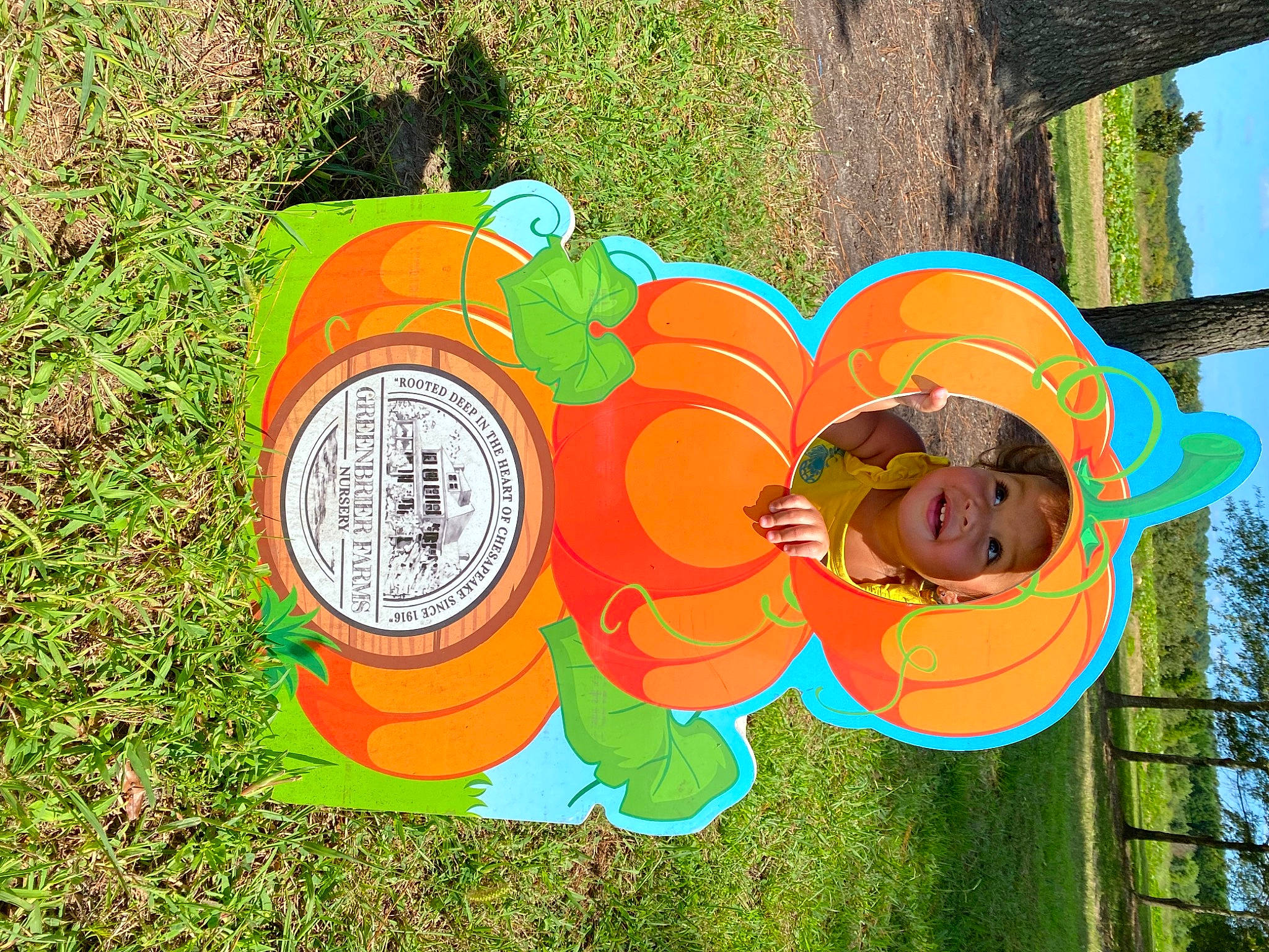 Emery is registered to the contest to win money with this photo: art, automotive_wheel_system, circle, font, fun, garden, grass, groundcover, happy, hat, headwear, illustration, leisure, organism, people_in_nature, person, petal, plant, recreation, sun_hat