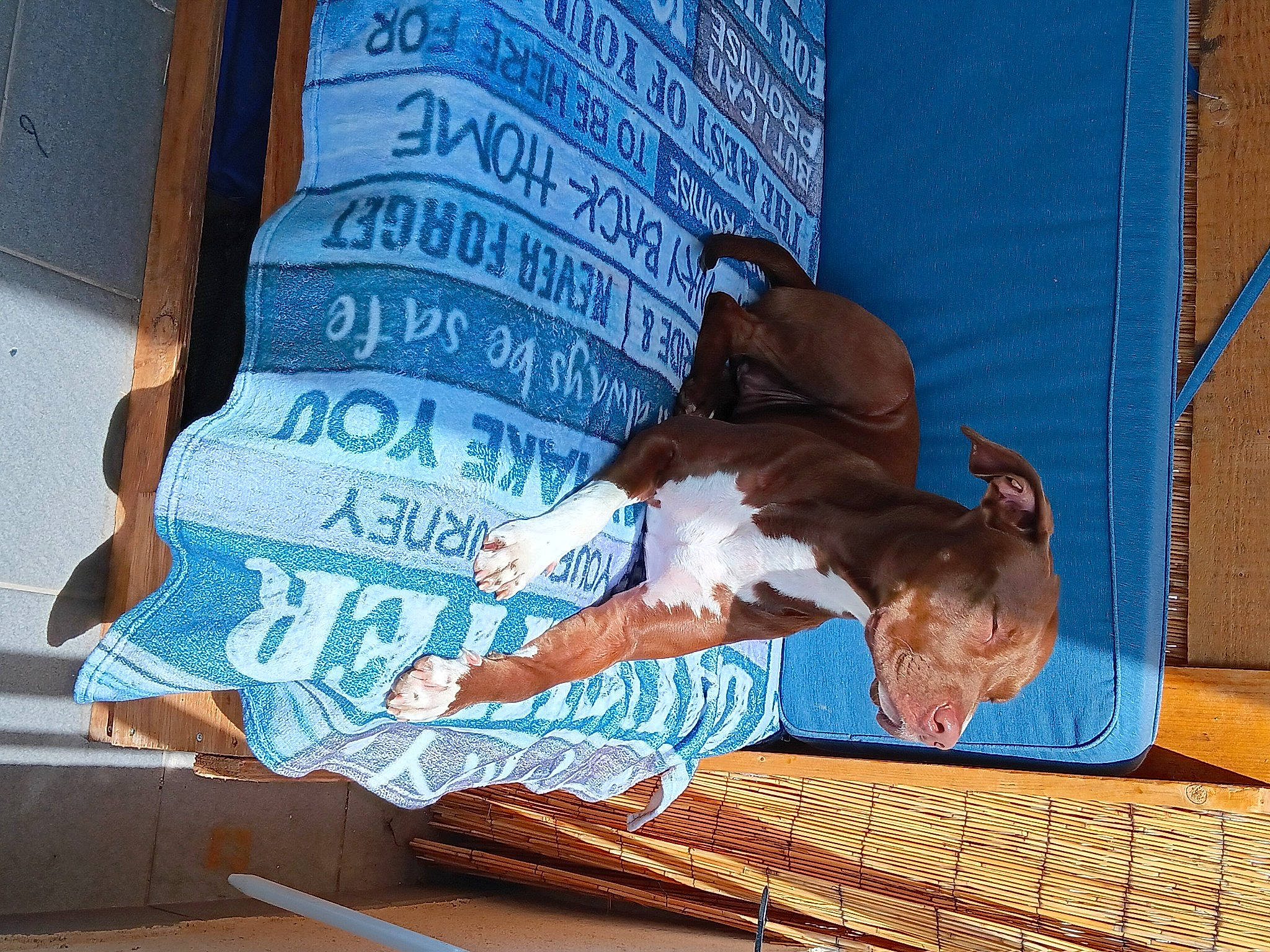 Athéna a rejoint le concours — aidez-le/la à gagner de superbes lots ! flooring, font, human_leg, leisure, pattern, sitting, textile, thigh, tree, water, wood, world