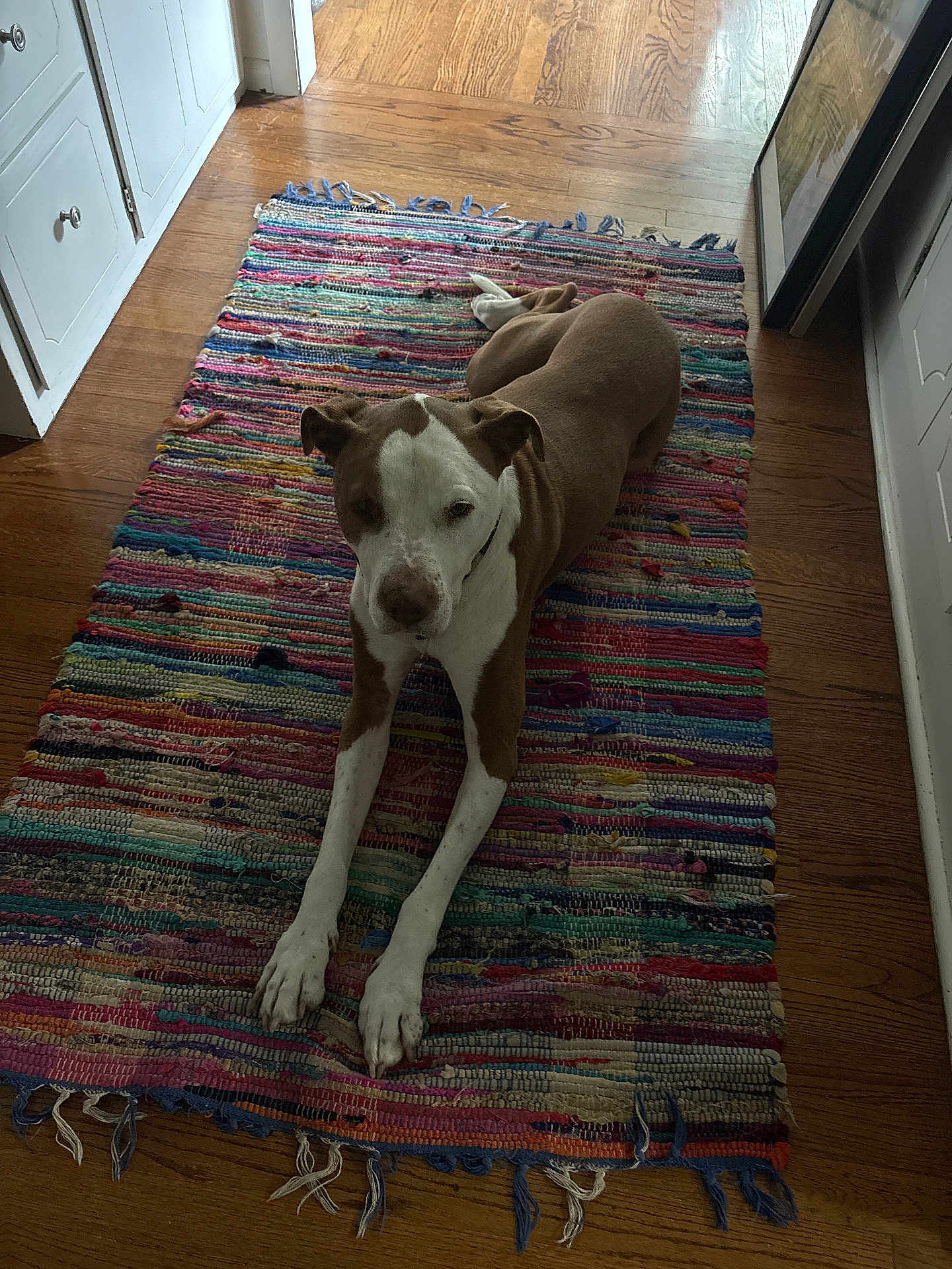 Odin
