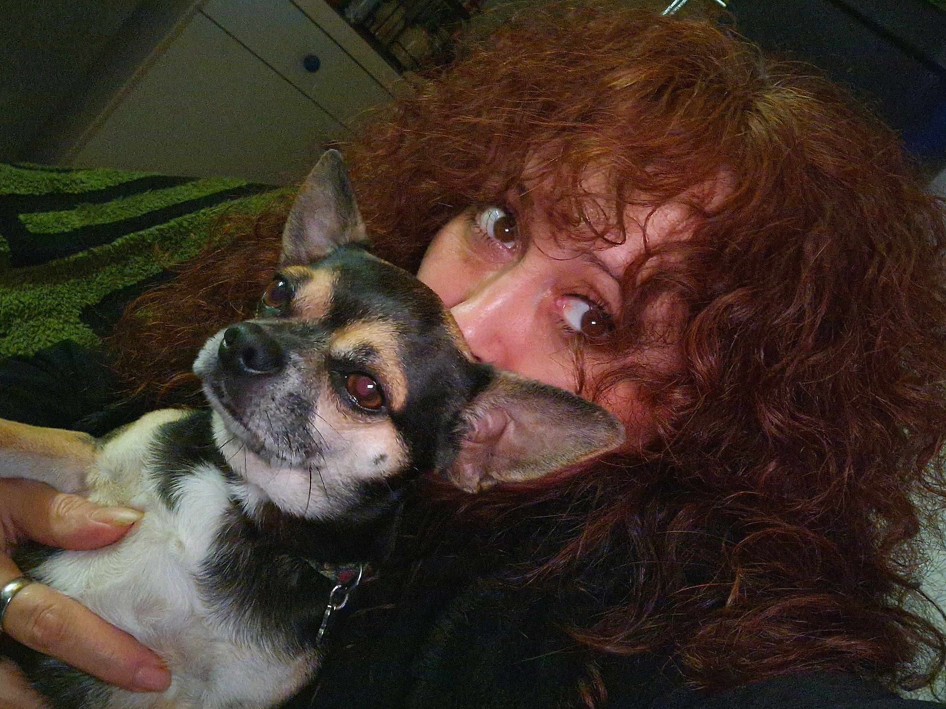 Delphine Braga participe au concours pour gagner de l'argent avec cette photo : woman, dog, pet, curly_hair, indoor, close_up, affection, snuggling, portrait, brown_hair, small_dog, hand, face, eyes, collar, furniture, blanket, casual, relaxation, love