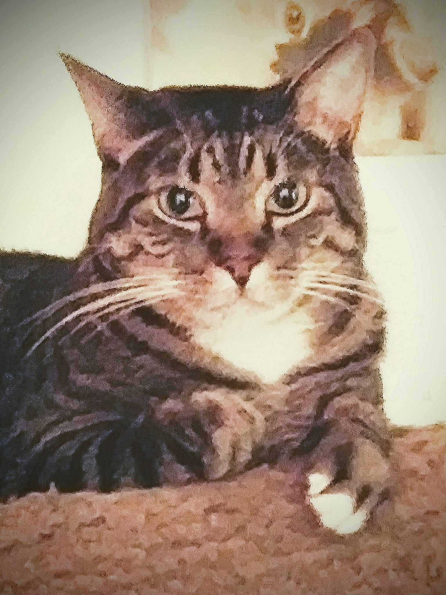 Smokey is registered to the contest to win money with this photo: art, carnivore, cat, domestic_short_haired_cat, eye, felidae, fur, head, illustration, painting, paw, plant, small_to_medium_sized_cats, snout, terrestrial_animal, tree, visual_arts, whiskers, wildlife, window