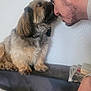 dog, man, couch, indoor, pet, furry, nose_to_nose, friendly, casual, seated, portrait, animal, human, affection, cozy, relaxed, home, furniture, picture_frame, newspaper
