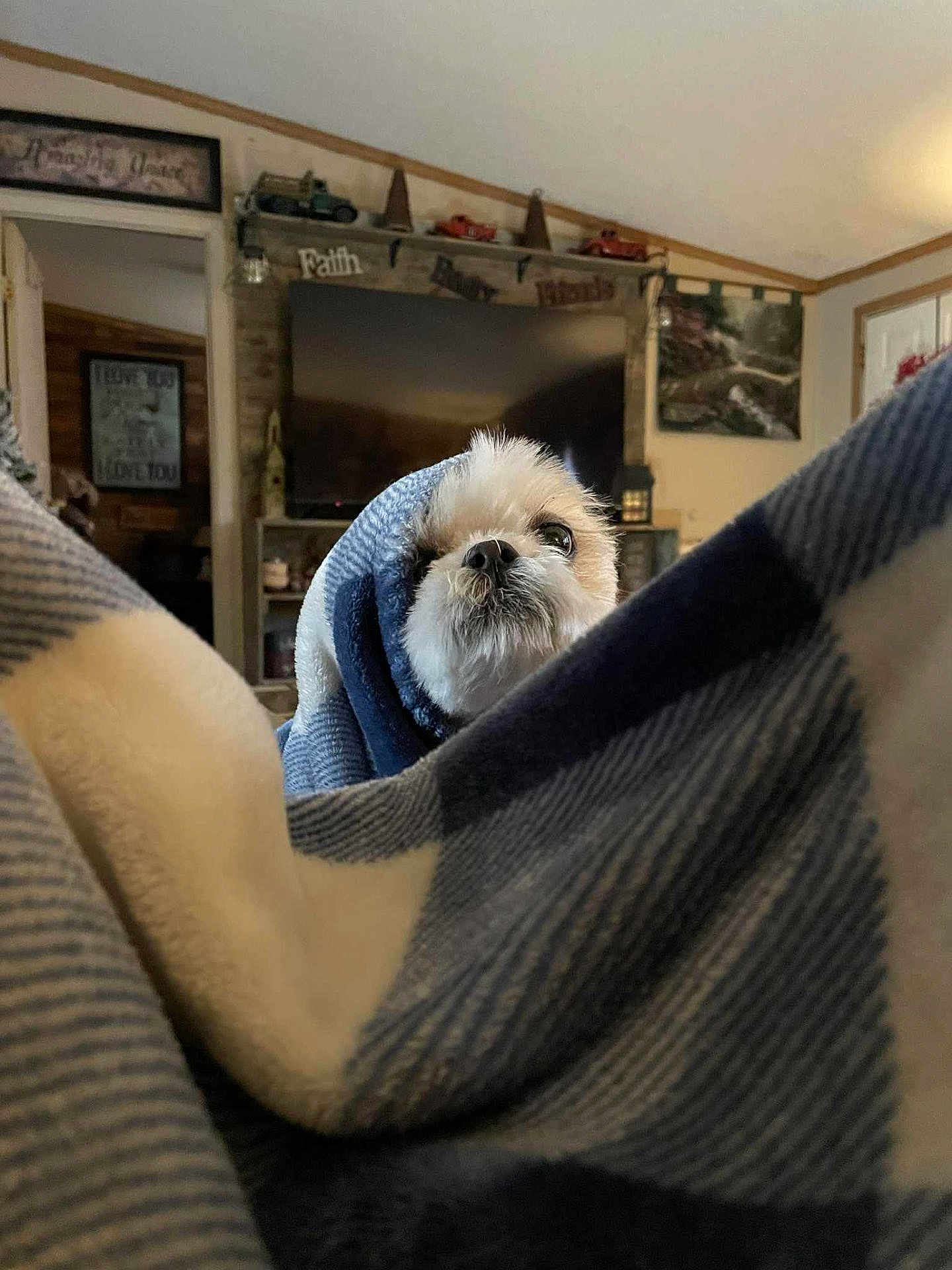 Benji