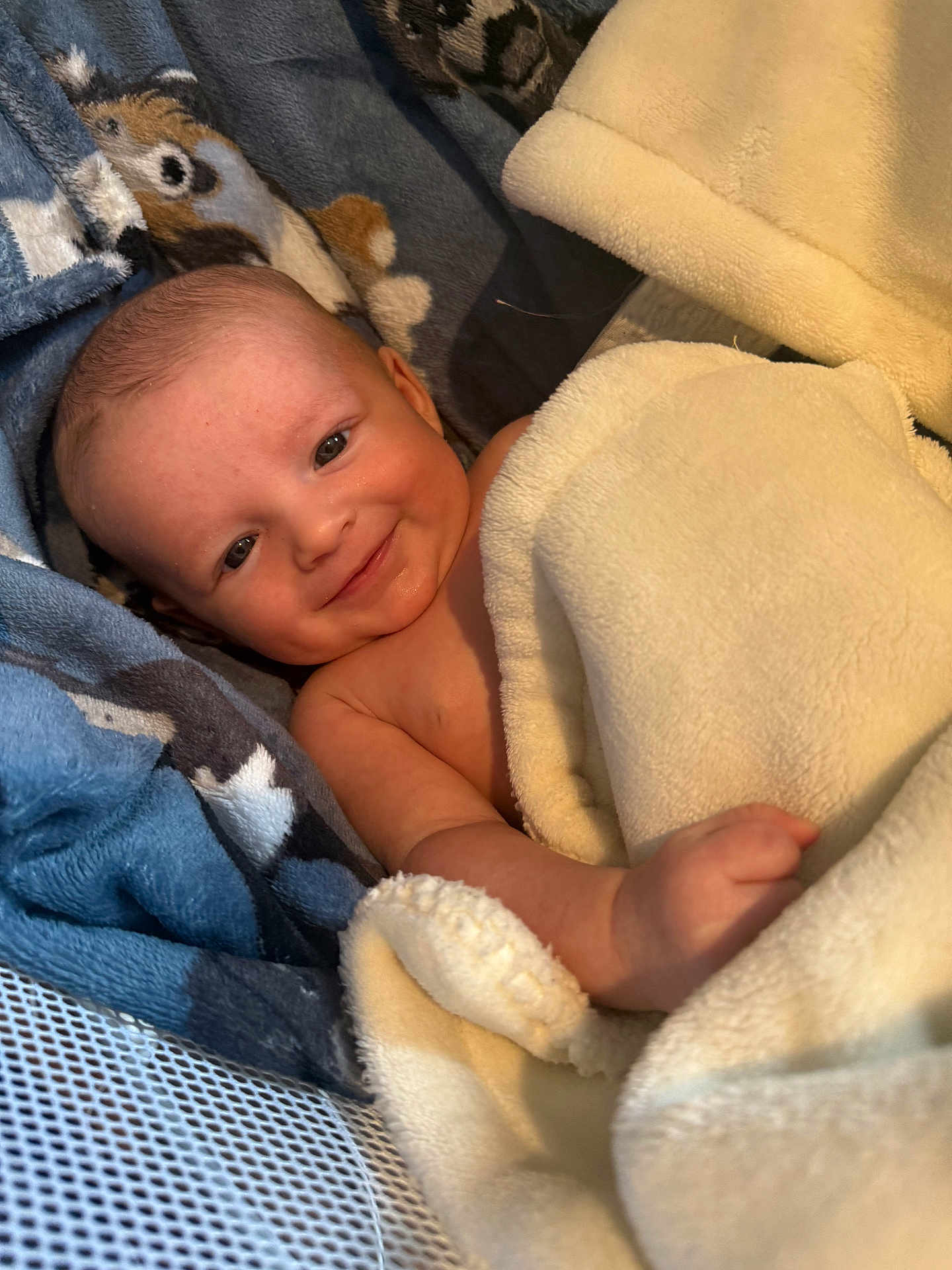 Kash Donoghue is registered to the contest to win money with this photo: baby, infant, newborn, smiling, blanket, towel, cozy, wrapped, lying_down, face, eyes, hand, head, cheek, bassinet, soft_texture, skin, portrait, cute, nestled