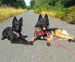 Charousco Et Tawa-black