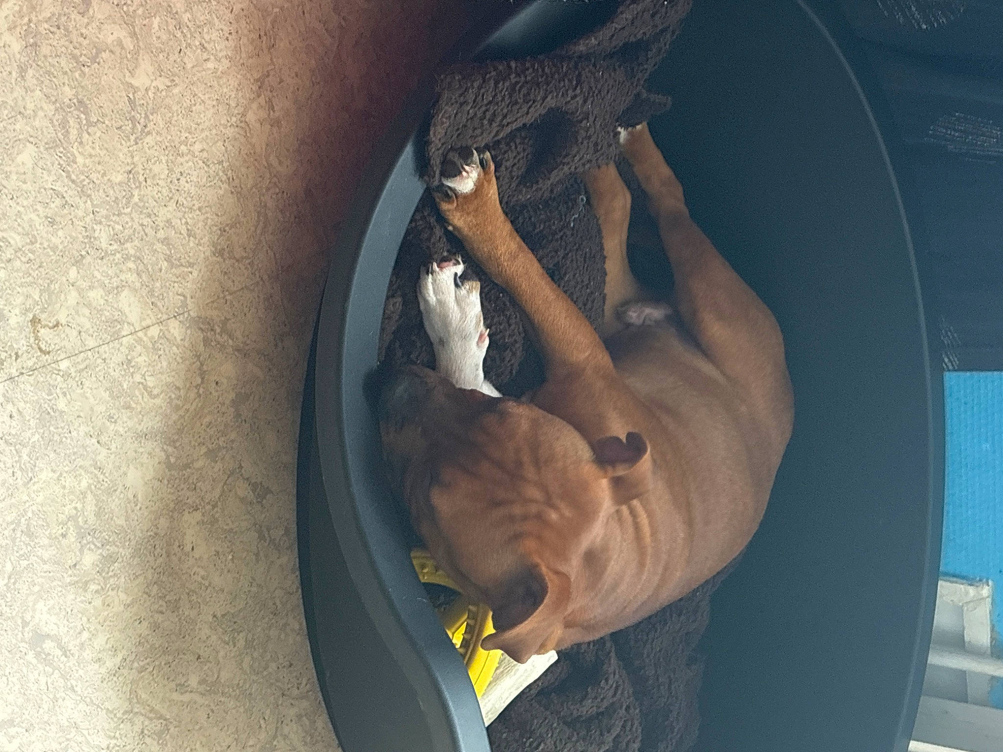 Uno participe au concours pour gagner de l'argent avec cette photo : auto_part, automotive_exterior, automotive_tire, automotive_wheel_system, bumper, concrete, elbow, flash_photography, fun, gesture, human_leg, vehicle_door