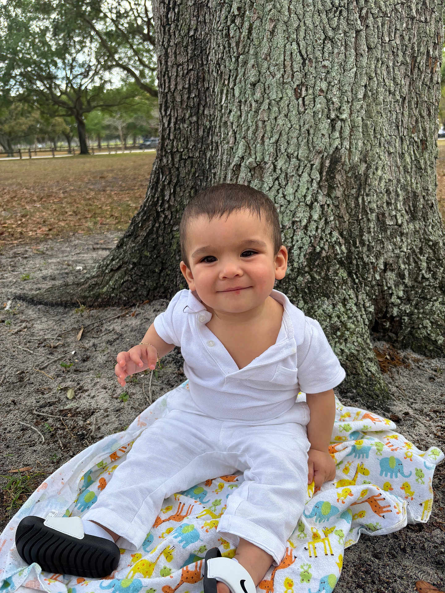Elizabeth joined the competition — help win amazing prizes! toddler, child, smiling, white_clothing, blanket, animal_print, tree_trunk, park, outdoor, nature, grass, leaves, shoes, happy, baby, person, sitting, cute, daytime, young_child