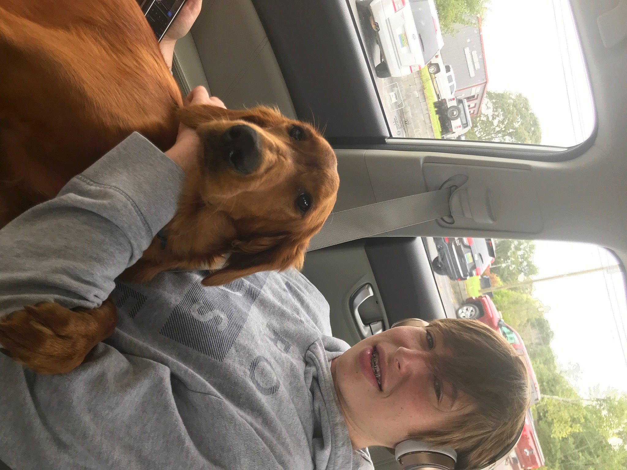 Lucy joined the competition — help win amazing prizes! canidae, companion_dog, dog_breed, ear, fawn, sporting_group