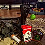 animal, brown, carpet, chewing, decor, dog, fake_cigarette, floor, french_bulldog, funny, furniture, home, indoor, liquor_bottle, living_room, pet, playful, shot_glass, toy, wooden_table