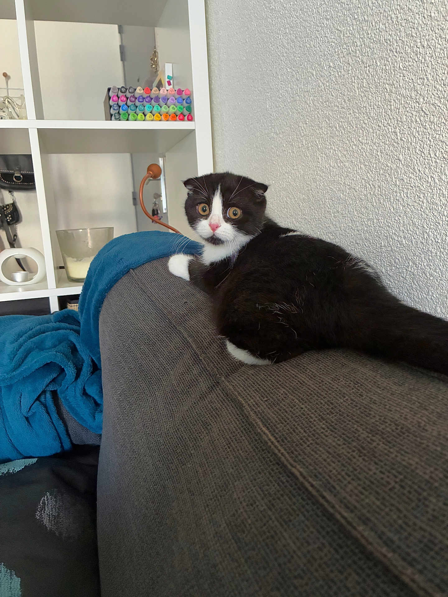 Alvin