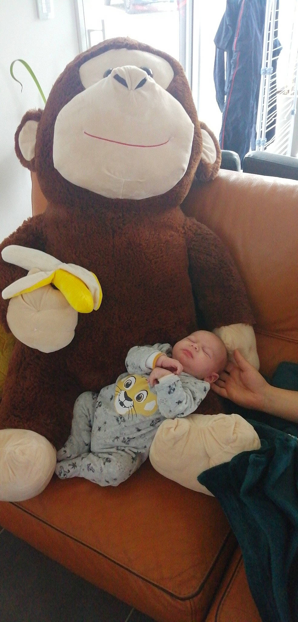 Paco a rejoint le concours — aidez-le/la à gagner de superbes lots ! baby, baby_products, child, person, plush, stuffed_toy, toy