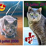 Minette participe au concours pour gagner de l'argent avec cette photo :