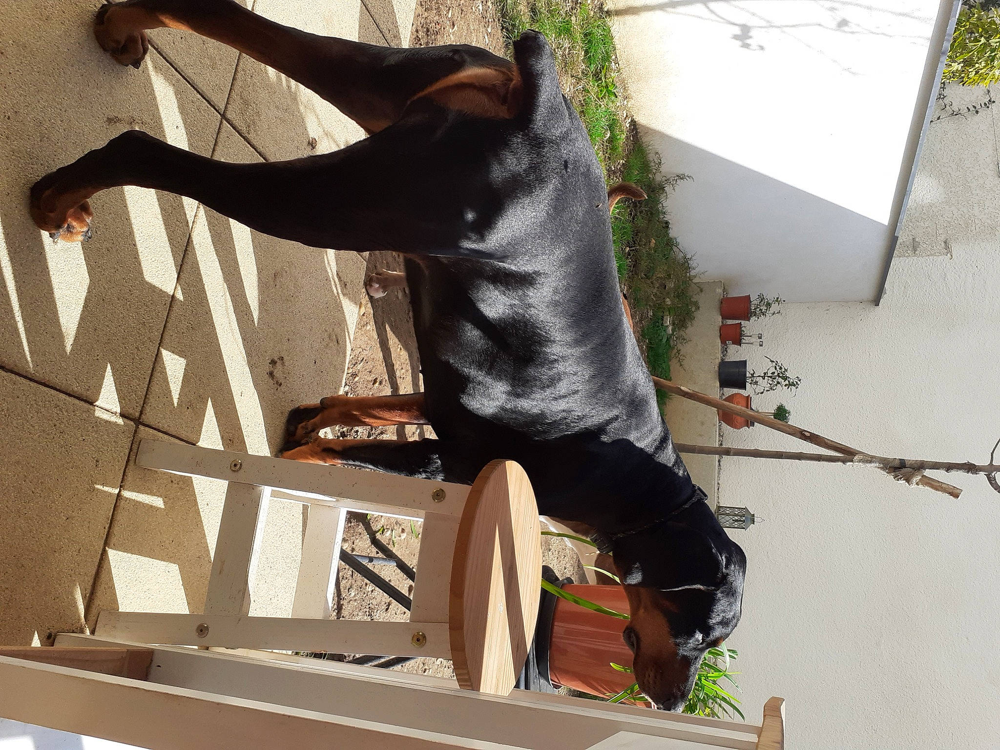 Thor a rejoint le concours — aidez-le/la à gagner de superbes lots ! art, elbow, event, fun, gesture, human_leg, leg, metal, plant, tree, visual_arts, waist, window, wood