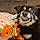 Rosco