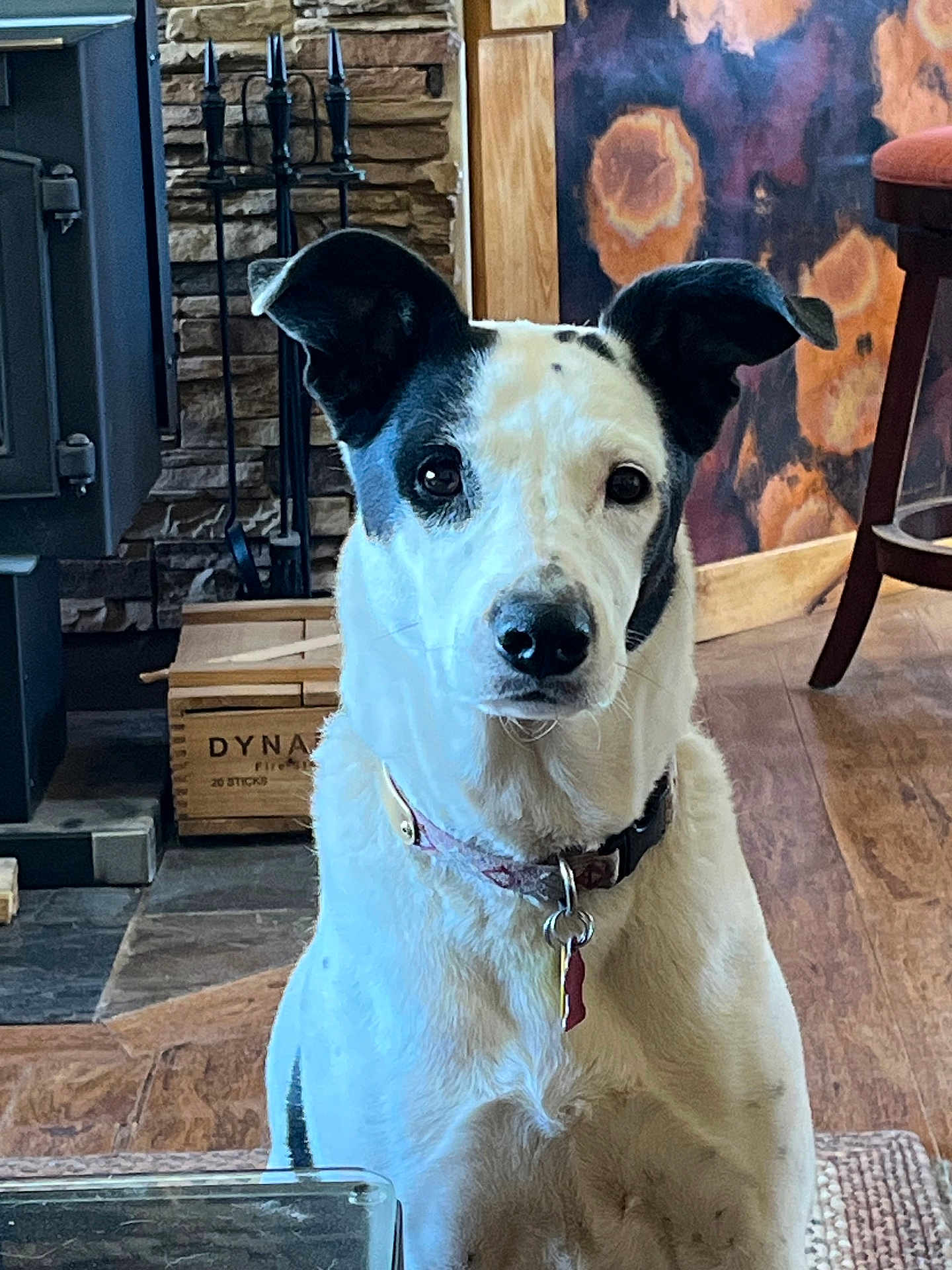 Pippa