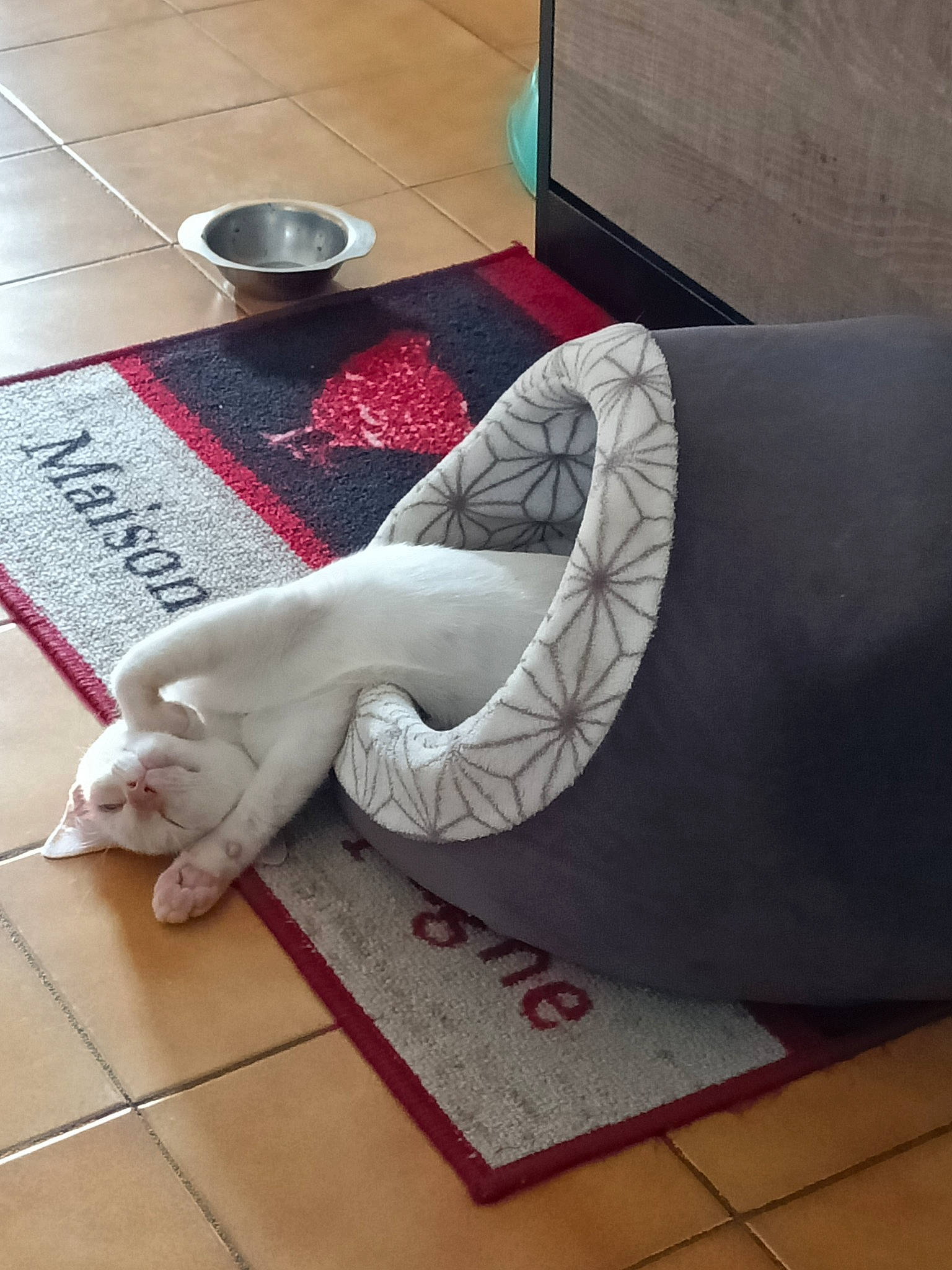 Thaler participe au concours pour gagner de l'argent avec cette photo : art, carmine, comfort, couch, fashion_accessory, floor, flooring, font, hardwood, human_leg, laminate_flooring, linens, pattern, rectangle, room, studio_couch, table, textile, thigh, wood