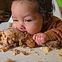 Gibo joined the competition — help win amazing prizes! baby, child, food, turkey_leg, messy, highchair, hand, face, meal, eating, curly_hair, brown_clothing, plate, green_bean, crumbs, indoor, closeup, cute, person, infant