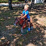 Jaxson is registered to the contest to win money with this photo: child, smiling, outdoors, grass, tree, leaves, sculpture, toy_horse, blue_shirt, shorts, slip_on_shoes, sunlight, shadow, yard, house, driveway, playground_statue, portrait, happy, summer