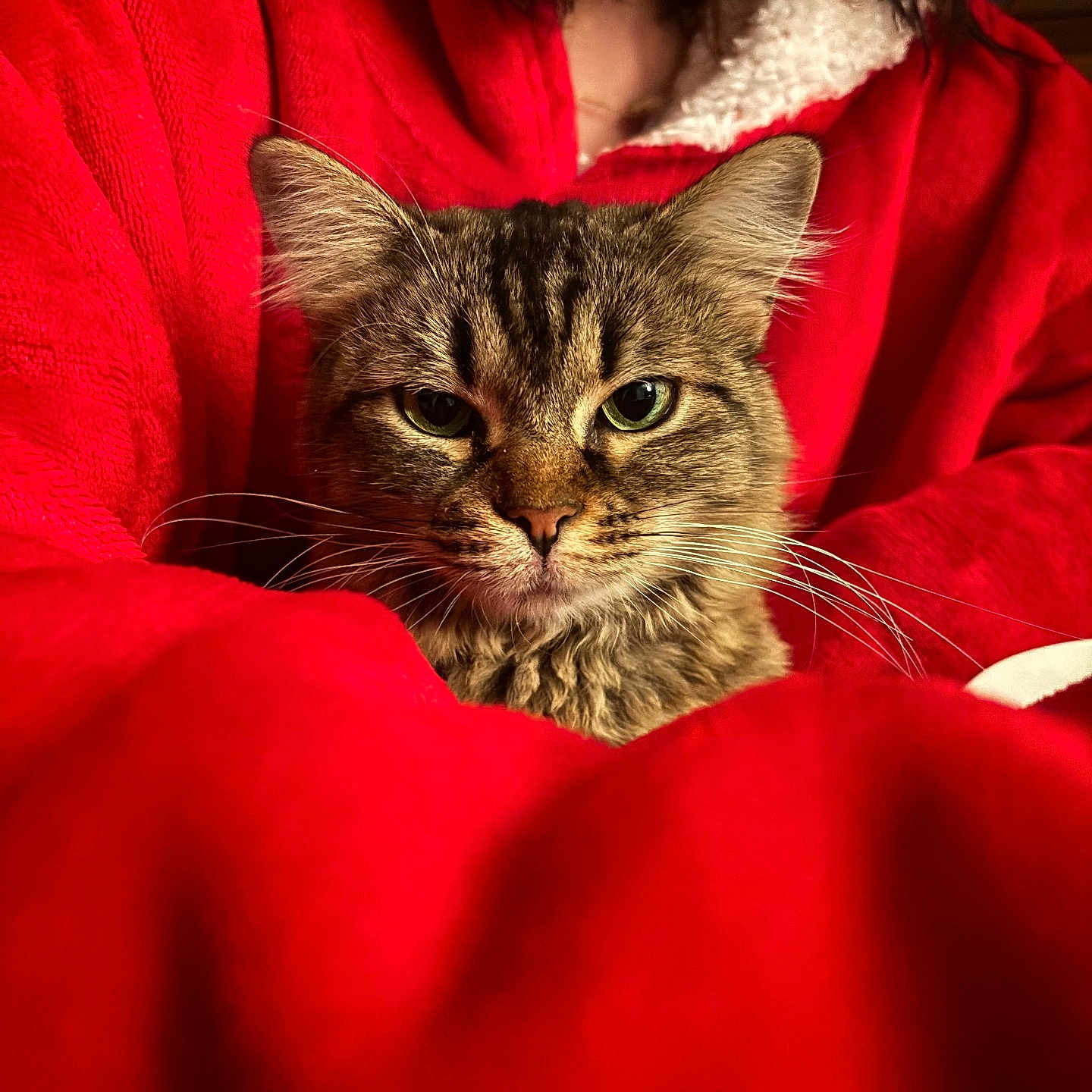 Benti