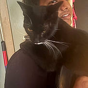 Missy joined the competition — help win amazing prizes! cat, black_cat, person, indoors, shoulder, close_up, pet, animal, whiskers, face, hand, young_adult, casual, portrait, holding, curious, warm_lighting, brown_skin, short_hair, door