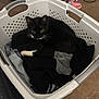 cat, laundry_basket, clothes, black_and_white_cat, indoor, carpet, slippers, pet, feline, curious, resting, home, cozy, domestic, animal, white_basket, black_clothes, household, floor, relaxed