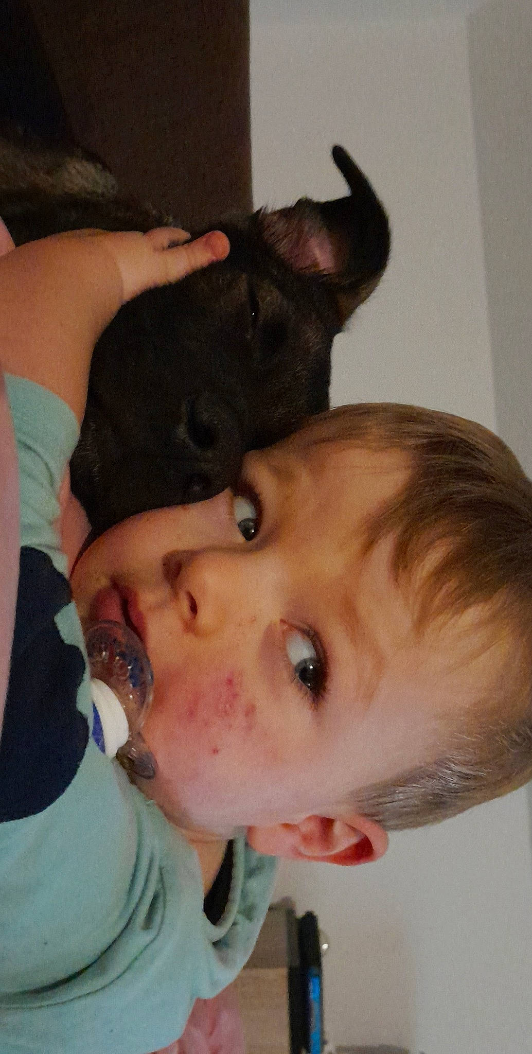 Togo a rejoint le concours — aidez-le/la à gagner de superbes lots ! cheek, chest, child, ear, eyebrow, eyelash, forehead, fun, gesture, happy, iris, jaw, lip, mouth, neck, nose, skin, t_shirt, throat, toddler